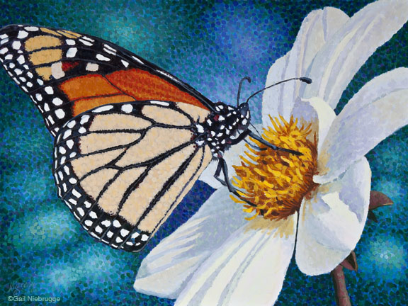 Buy Monarch Butterfly Fine Art Print