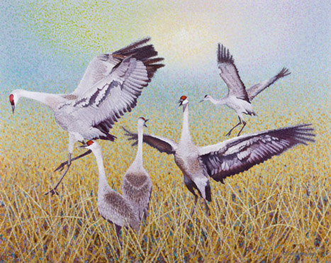 Buy Sandhill Crane – Wing Dancing 39″ x 49″ Art Print